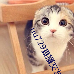 uu729直播交友 （翎毛）