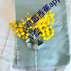 草莓香蕉app导航站长统计十八岁笔趣阁影院 （打铁趁热）