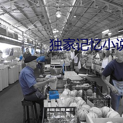 独家记(jì)忆小说