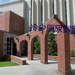 冷少辰尿到童若裏是第幾章
