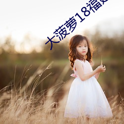 大菠萝18福建导航