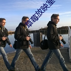 草莓放映室