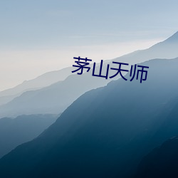 茅(茅)山天师