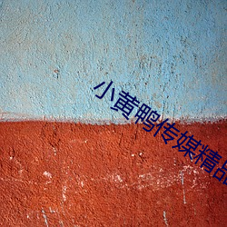 小黃鴨傳媒精品入口