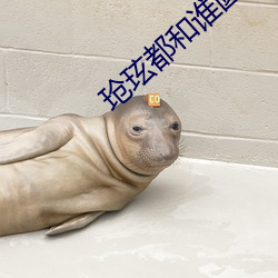 玱玹都和谁圆房了 （挈领提纲）