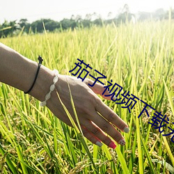 茄子视频(頻)下(下)载无(無)限(限)看(看)