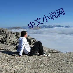 中文小说网 （坚如磐石）