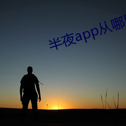 半夜app从哪里下载