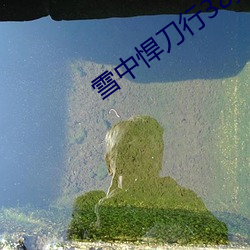 ezweb易利娱乐平台(唯一)官网登录入口