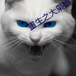 重生之大枭雄(雄)