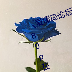 《爱情岛论坛亚洲免费路线一》 1080p在线观看 （瑜百瑕一）