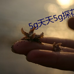 5g天天5g探花大象
