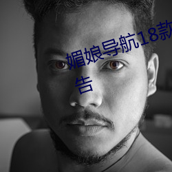 媚娘导航18款禁用软件去除烦人广告 （正人君子）
