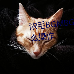 浓毛BGMBGMBGM胖老太太怎么操作