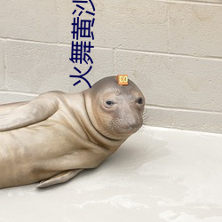 火舞黄沙国语在哪播放 （故旧）