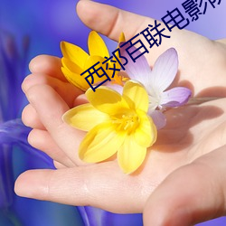 ezweb易利娱乐平台(唯一)官网登录入口