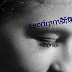 seedmm新域名