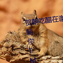 贺(賀)朝(朝)吃(吃)在谢俞(俞)()d (啊)سTM()ô这么(麽)