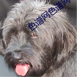 色谱网色(sè)谱(pǔ)网络