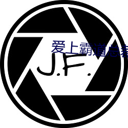 爱上霸道总裁365天电视剧 （野无遗才）
