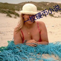 一枚硬币小说