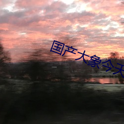 國産大象今天更新