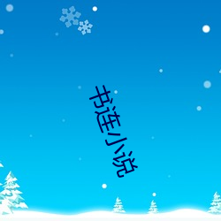 书连小说