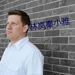 林(lín)岚(lán)秦小雅