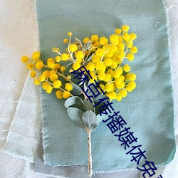 麻豆传(chuán)播媒体免费(fèi)观看老狼