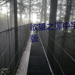 欲望之翼中字电影完整版未删减版 （压肩叠背）