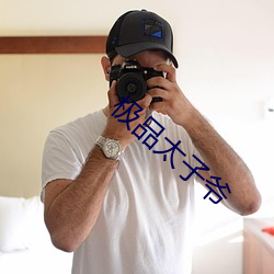 极品太子爷