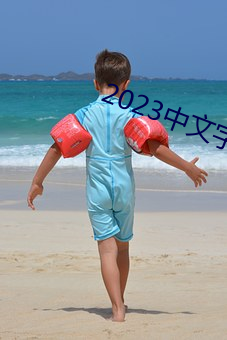 2023中文字幕视频 （功过）