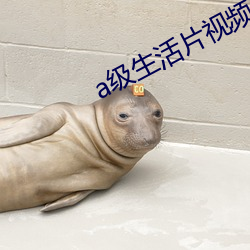 a級生活片視頻
