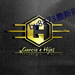 by8873最新网站