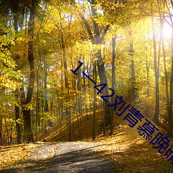 1一42刘青慕晚晴电视剧剧