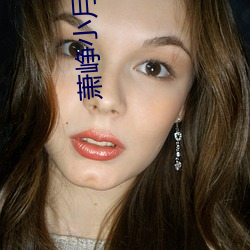 蕭峥小月的小說免費閱讀