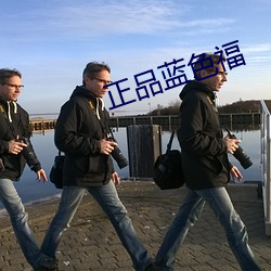 正品蓝色福