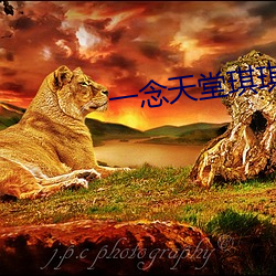 一念天堂琪琪