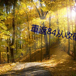 重返84从收破烂开始(shǐ)致富