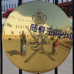 随身空间小说