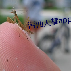 汙仙人掌app