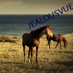 JEALOUSVUE成熟50MAOFF