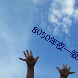 8050年夜一级A