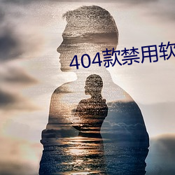 404款(ܛ)(件)app大全免载