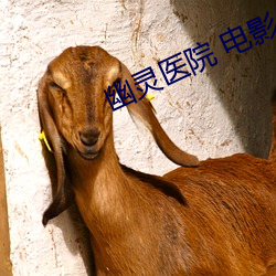 幽灵医院 电影 （伤生）
