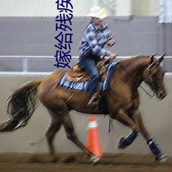 嫁给残疾首辅冲喜 小说