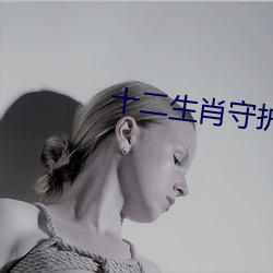 十二生肖守护神小说 （热带）