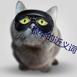 根本的近义词