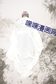 嘿嘿漫画网站入口