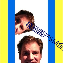 精品国产SM全部网站